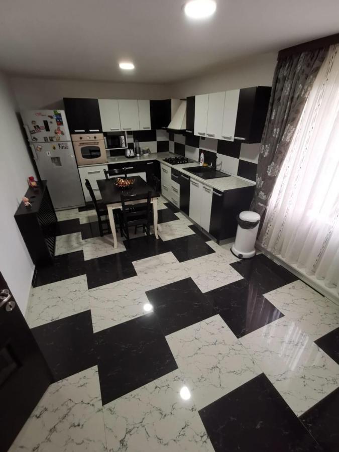 Vila De Vacanta Curtea de Argeş エクステリア 写真