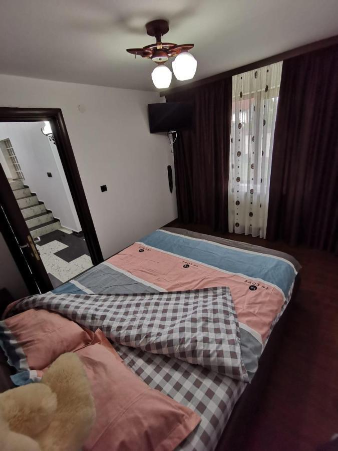 Vila De Vacanta Curtea de Argeş エクステリア 写真