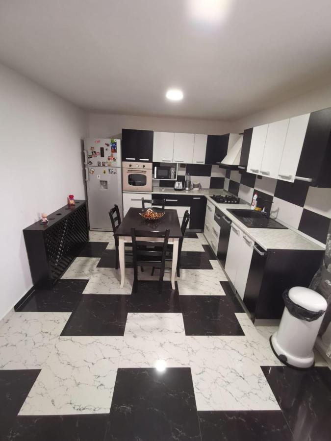 Vila De Vacanta Curtea de Argeş エクステリア 写真