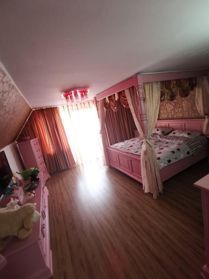 Vila De Vacanta Curtea de Argeş エクステリア 写真