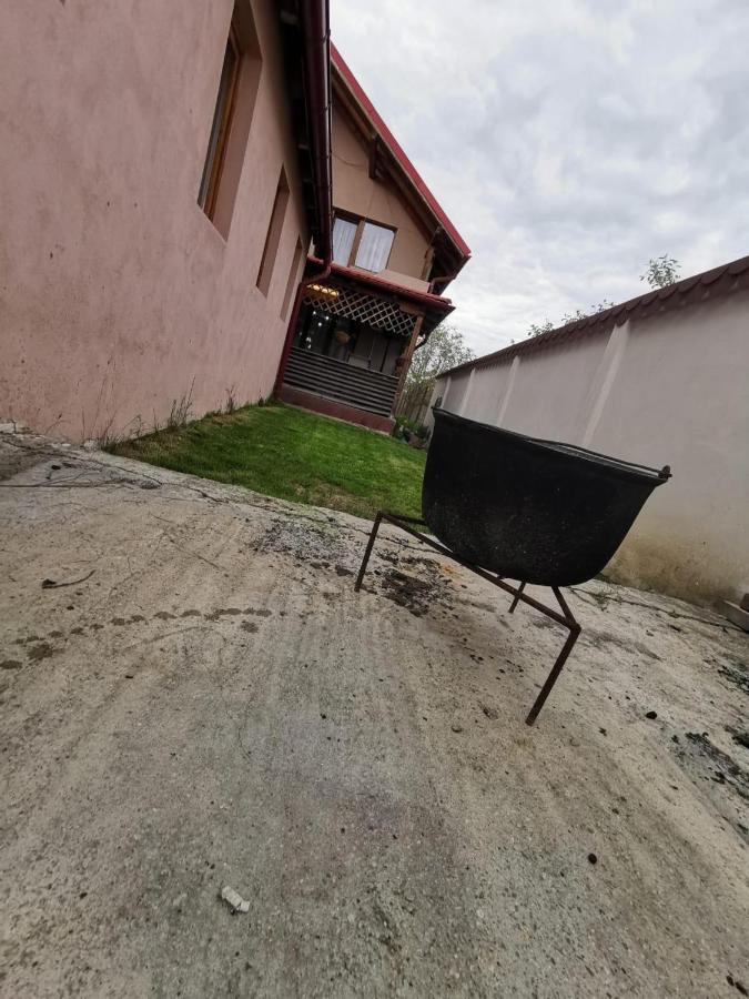 Vila De Vacanta Curtea de Argeş エクステリア 写真
