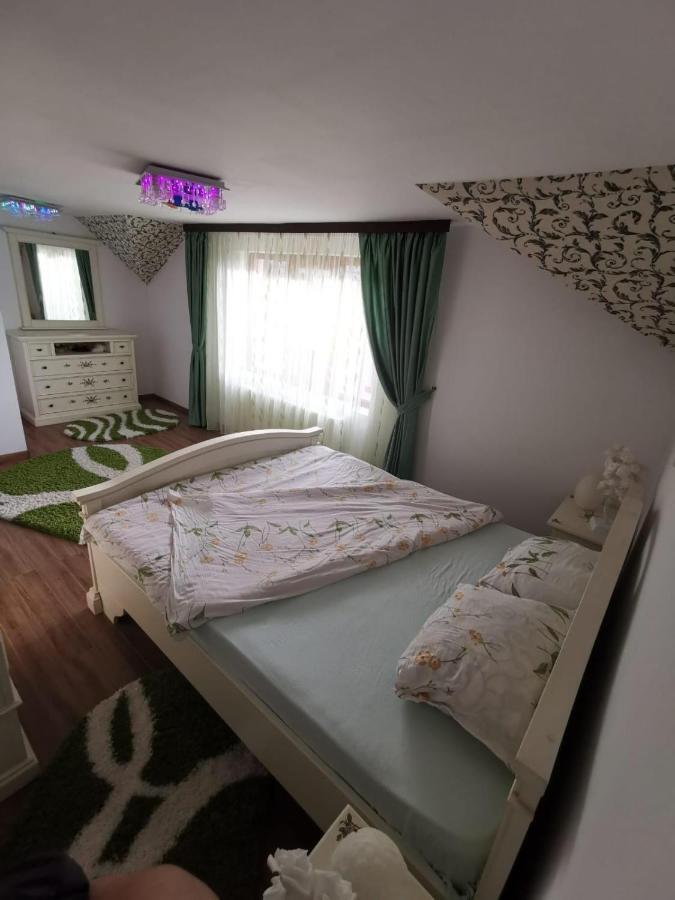 Vila De Vacanta Curtea de Argeş エクステリア 写真