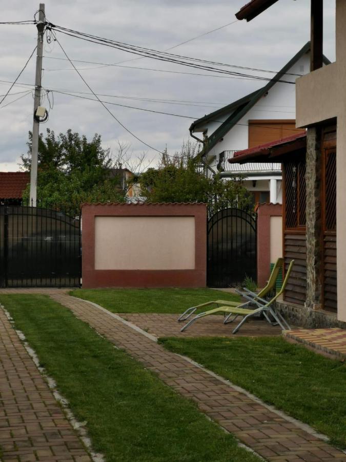 Vila De Vacanta Curtea de Argeş エクステリア 写真