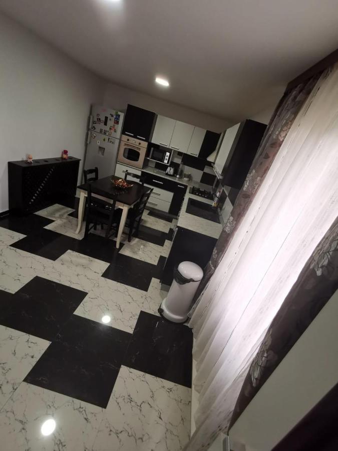 Vila De Vacanta Curtea de Argeş エクステリア 写真