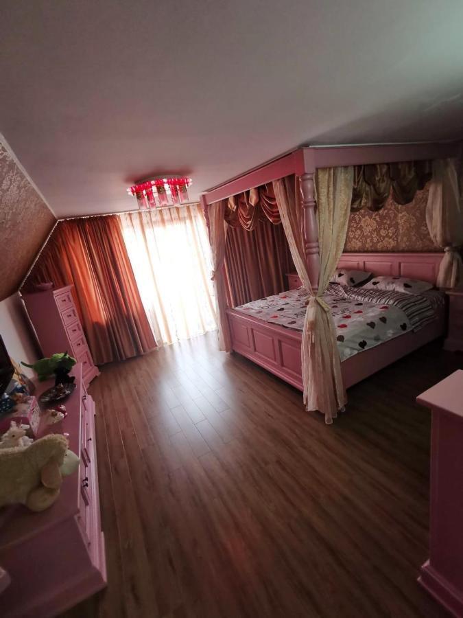 Vila De Vacanta Curtea de Argeş エクステリア 写真
