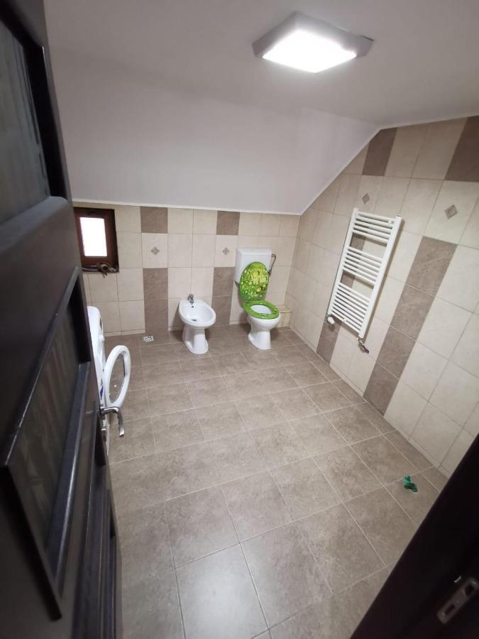 Vila De Vacanta Curtea de Argeş エクステリア 写真