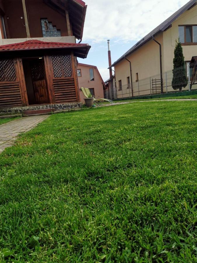 Vila De Vacanta Curtea de Argeş エクステリア 写真